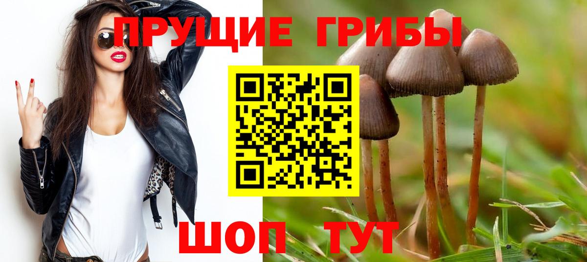 Галлюциногенные грибы Magic Shrooms Красноармейск