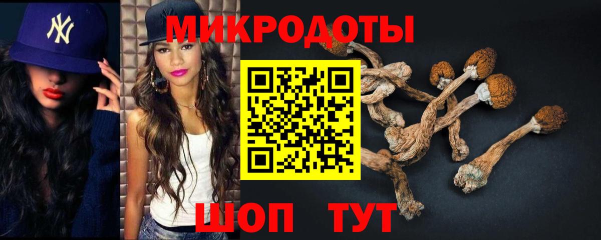 Псилоцибиновые грибы Psilocybe  Вход с VPN  Красноармейск 